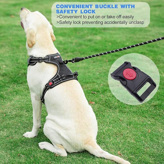 No Pull Dog Harness Adjustable Reflective Oxford Easy Control Medium Large Dog Harness with A Free Heavy Duty 5ft Dog Leash (S (Neck: 14"-17", Chest: 18.5"-20"), Red Harness+Leash)