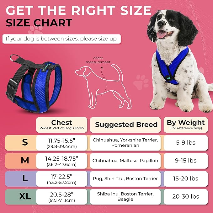 Gooby Comfort X Head In Harness - Blue, Medium - No Pull Small Dog Harness, Patented Choke-Free X Frame - Perfect on the Go Dog Harness for Medium Dogs No Pull or Small Dogs for Indoor and Outdoor Use