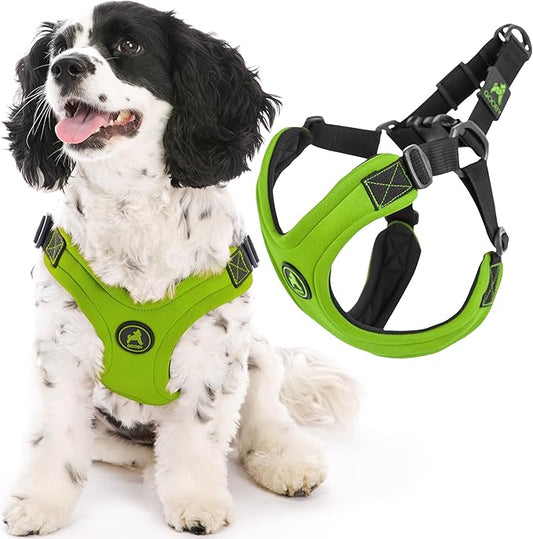 Gooby Escape Free Sport Harness - Lime, Medium - No Choke Step-in Patented Neoprene Small Dog Harness with Four-Point Adjustment - Perfect on The Go Dog Harness for Medium Dogs No Pull and Small Dogs