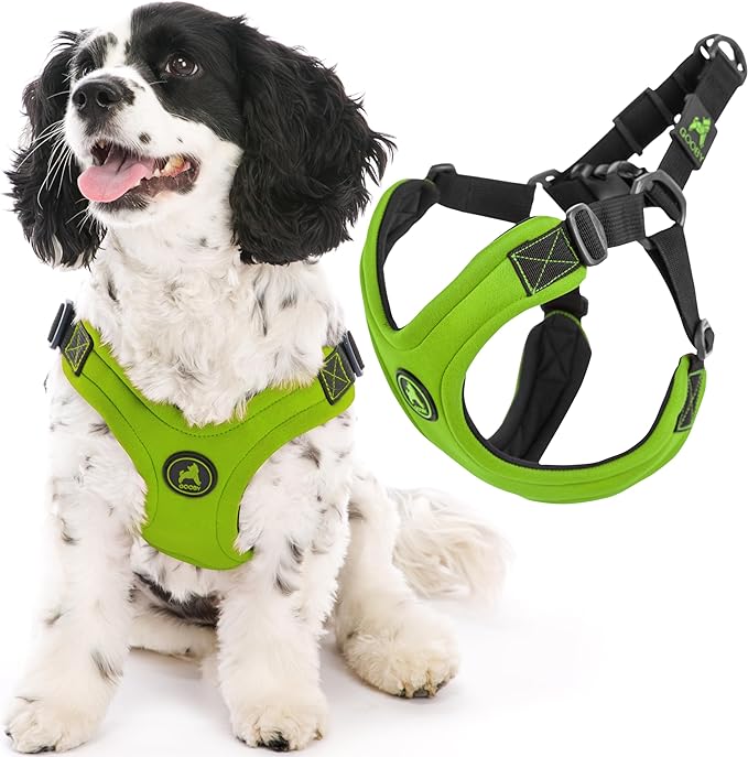 Gooby Escape Free Sport Harness - Lime, Small - No Choke Step-in Patented Neoprene Dog Harness with Four-Point Adjustment for Small to Medium Dogs