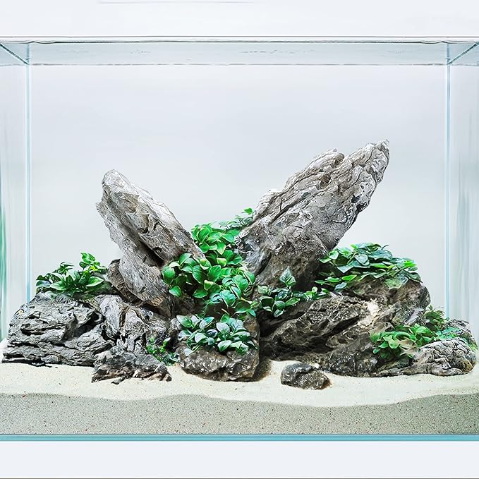 LANDEN Seiryu Stones Natural Rocks for Aquarium, Paludarium, Terrariums, Landscaping Rocks, Aquascaping, 80L (36lbs) 3-11in, Seiryu Stones(3-11inch,36lbs)