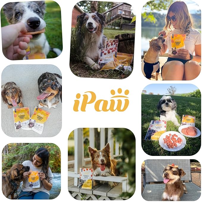 iPaw Chicken Tots Dog Treats for Puppy Training, All Natural Human Grade Dog Treat, Hypoallergenic, Easy to Digest (Chicken Tots), 2 Packs