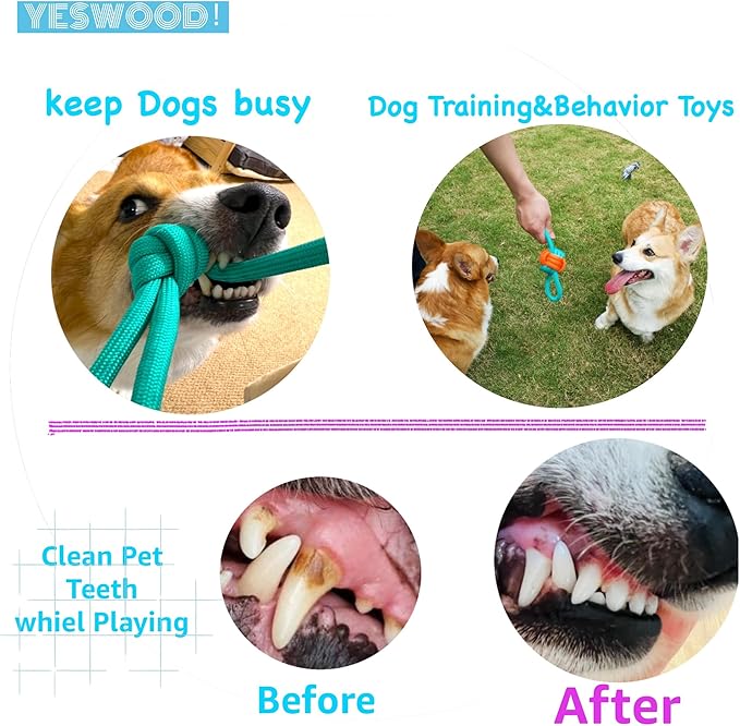 Tug of War Dog Toy Small Breed,Durable Dog Ball with Rope for Agreessive Chwers,4-Pack Rope with Ball Attached for Small and Medium Breed 0-80 Pounds,Puppy Interactive Toy