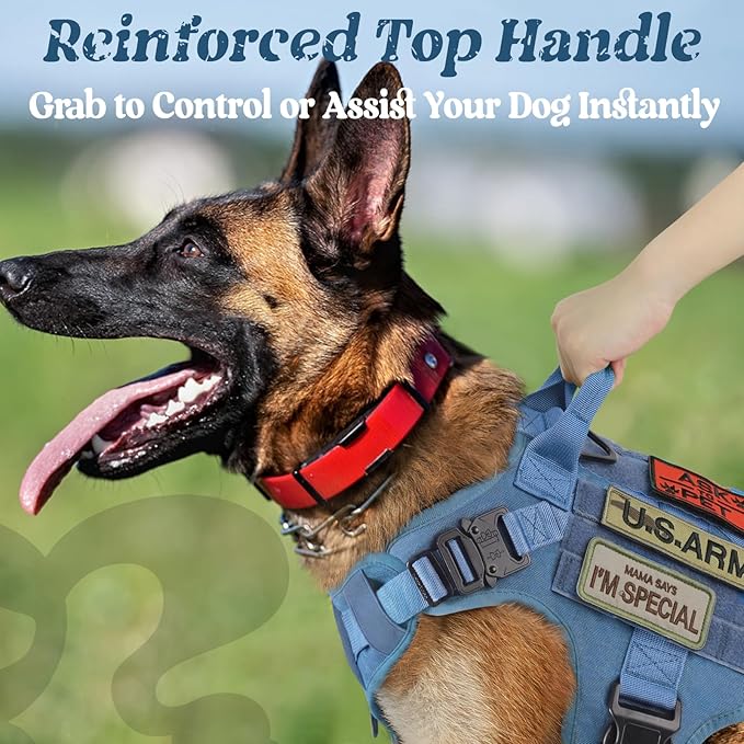 rabbitgoo Tactical Dog Harness Medium Sized, Heavy Duty Pet Harness with Handle, No-Pull Service Vest Medium Breed, Adjustable Military Dog Vest for Training Hunting Walking, Blue, M