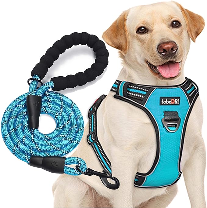 No Pull Dog Harness Adjustable Reflective Oxford Easy Control Medium Large Dog Harness with A Free Heavy Duty 5ft Dog Leash