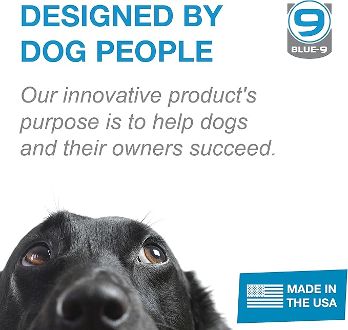 Blue-9 Buckle-Neck Balance Harness, Fully Customizable Fit No-Pull Harness, Ideal for Dog Training and Obedience, Made in The USA, Sky Blue, Medium/Large