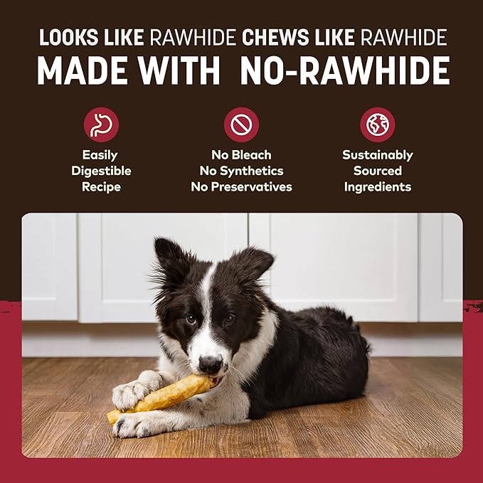 Earth Animal No Hide Medium Beef Flavored Natural Rawhide Free Dog Chews Long Lasting Chew Sticks | Treats for Large Dogs | Great for Aggressive Chewers - 6 Count