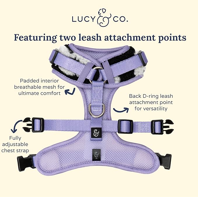 Lucy & Co. The Far Out No-Pull Dog Harness for Dogs – Comfortable Leash Training Product w/Adjustable Chest & Neck Straps - Black Purple Floral Teddy Fleece - X-Large