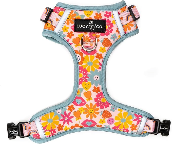 Lucy & Co. The Y2K Baby No-Pull Dog Harness - Size Small - Vest to Stop Pulling & Walk Easy - Comfortable Leash Training Product w/Adjustable Chest & Neck Straps