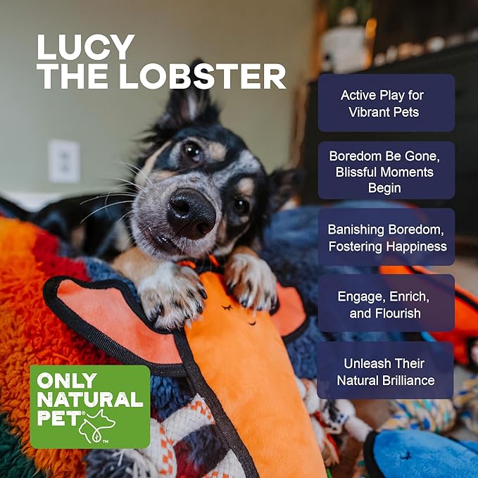 Only Natural Pet Sea Creatures Recycled Plush Dog Toys - Durable Double-Stitched Design with Internal Squeaker, 6 Rope Tug Arms & Plush Tail and Pincers - Squeaky Pet Toy | Lucy the Lobster, 11" x 12"