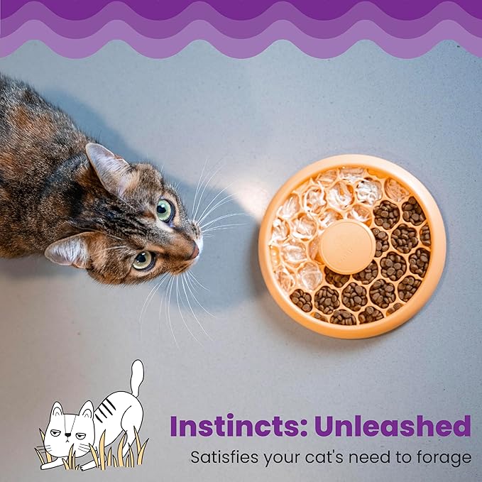 Catstages Cat Slow Feeder Bowl for Indoor Cats, Stimulating Treat Puzzle Toy, Dry or Wet Food, 1/2 Cup Capacity, One Size, Orange