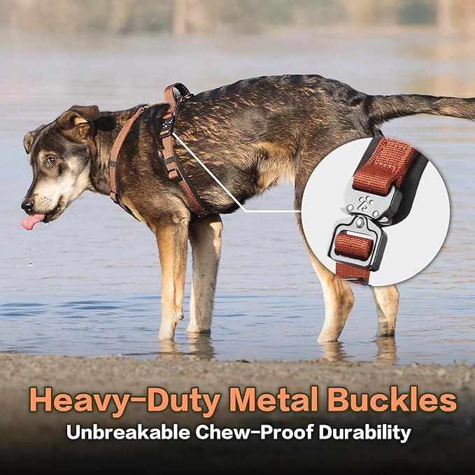 CLEPAWS Dog Harness for Medium Dogs, No Pull Dog Harness Easy Walk with Metal Hardware, Ergonomic Y-Shaped Design, Soft Padding, Padded Handle, Durable High-Tensile Nylon (Canyon Red, M)