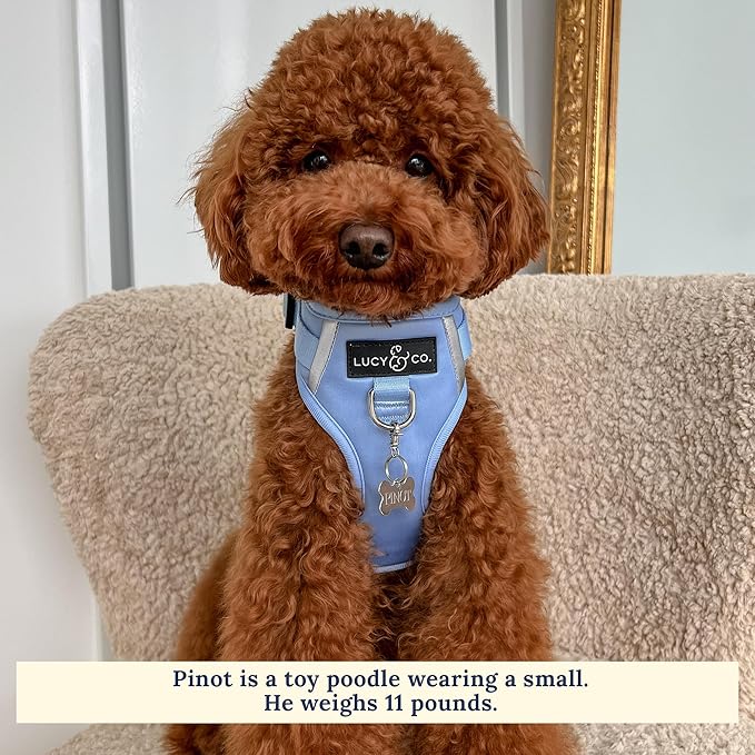 Lucy & Co. The Denim No-Pull Dog Harness - Size Medium - Vest to Stop Pulling & Walk Easy - Comfortable Leash Training Product w/Adjustable Chest & Neck Straps