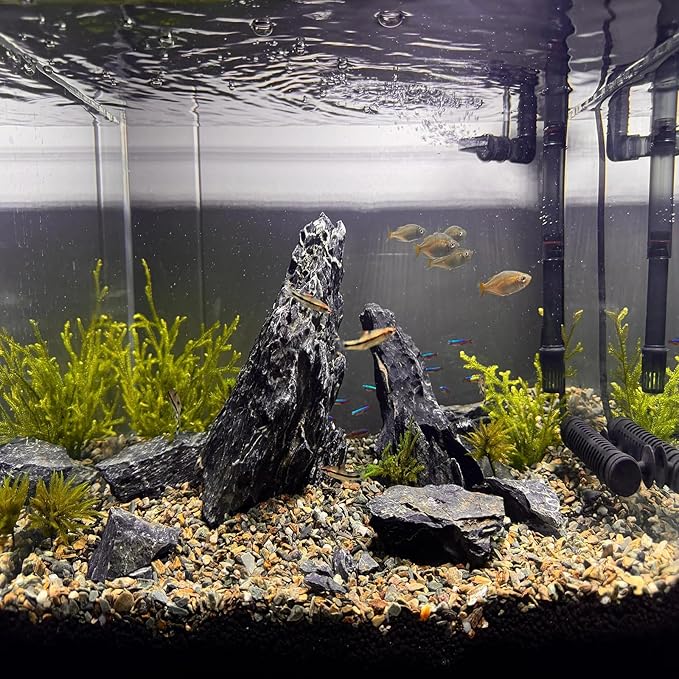 Natural Seiryu Dragon Stone - 11 Pound Aquarium Rock for Fish Tank Reptile and Amphibious Tank 3-8 Inch Aquarium Decoration