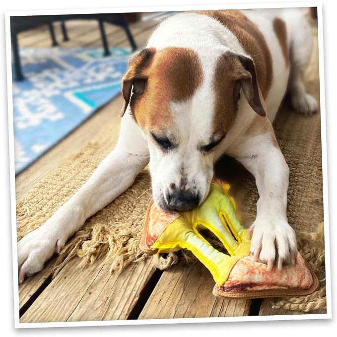 Doggijuana Tuffer Chewer Plush Dog Toy | Funny Dog Toy Plush with Juananip Catnip for Dogs | Calming Aid for Dogs | Interactive Squeaky Chew Toy for Play (Grilled Cheese)