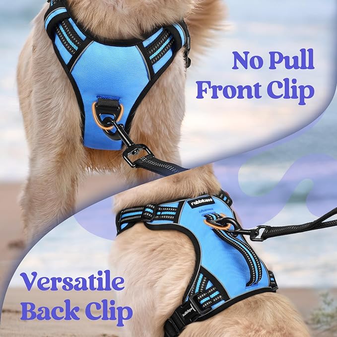 rabbitgoo Dog Harness Small Sized Dog, No Pull Pet Harness with Soft Padded Handle, Adjustable Reflective Vest with 3 Buckles, Easy Walking Harness with 2 Leash Clips, Light Blue, S
