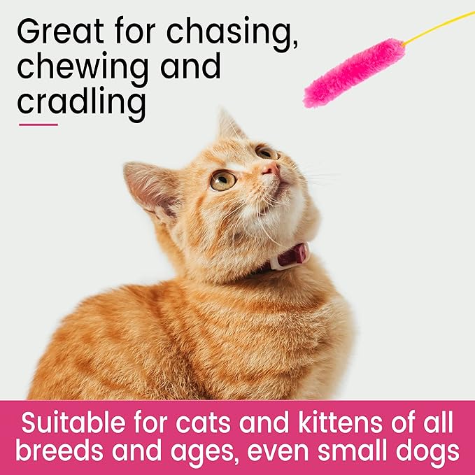 Interactive Catnip Cat Toy, A Blue Fish Catnip Toy (Filled with Natural Catnip) and Pink & Green Cat Teaser Wand Toys with Plush Tips for Indoor Cats and Kittens, 3Pcs Set