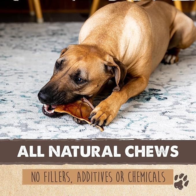 Mighty Paw Half Pig Ears for Dogs - All Natural, Single Ingredient Treats. Better Than Rawhide Pet Snacks for Small and Large/Medium Pets. Pigs Ear Dogs Chews (6lb)