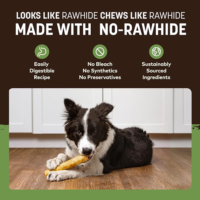 Earth Animal No Hide Medium Pork Flavored Natural Rawhide Free Dog Chews Long Lasting Chew Sticks | Treats for Large Dogs | Great for Aggressive Chewers - 6 Count