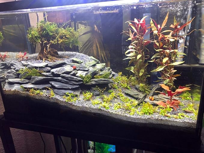 Voulosimi Natural Slate Rocks PH Neutral Stone Perfect Rocks for Aquariums, Landscaping Model,Tank Decoration,Amphibian Enclosures (10 LB, 3-5 inch)