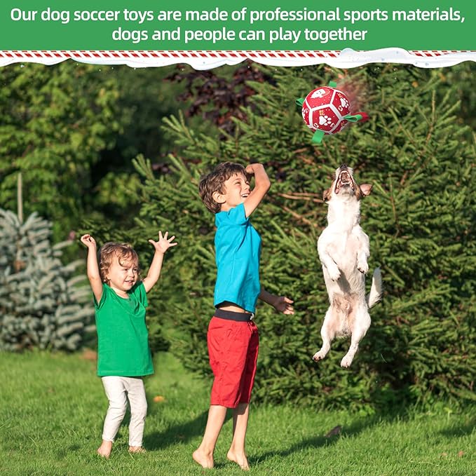 QDAN Small Christmas Dog Toys, Soccer Ball with Straps, Outdoor Interactive Toys for Tug of War, Puppy Birthday Gifts, Water Toy, Durable Dog Balls for Puppy (5 Inch)