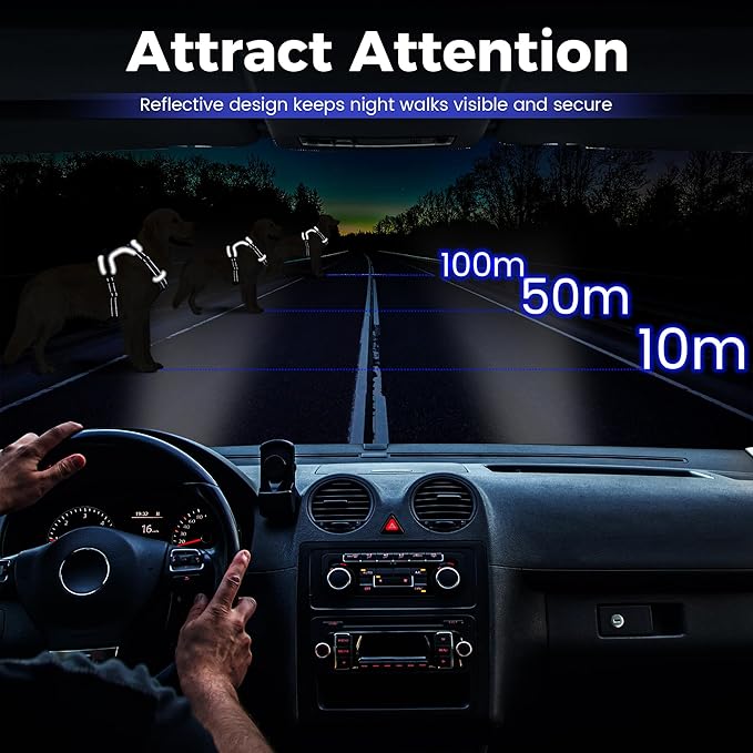 Funfox Dog Harness No Pull, Adjustable Pet Vest Harness Blue S with Handle, 2 Leash Clips for Daily Walking Easy Control, Soft Durable Reflective Comfortable for Small Sized Dogs