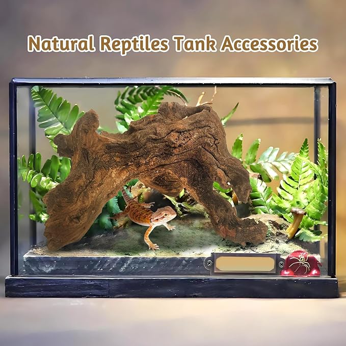 kathson Natural Driftwood for Aquarium Decor, 3-Piece 9''-15'' Large Driftwood for Decorations on Fish Tank, Reptiles Bearded Dragon Terrarium Ornament Accessories or Air Plants