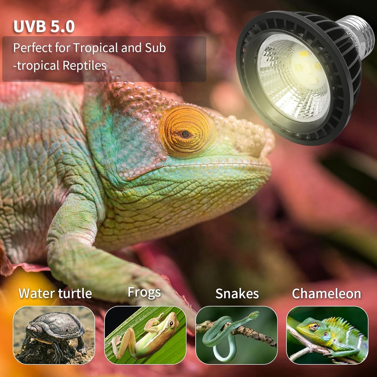 UVB Light Bulb for Reptiles, LED 3W 10.0 UVA UVB Heat Lamp Bulbs Ideal for Rainforest Reptiles, Bearded Dragons Lizard Turtle Tortoise Iguanas Chameleons Snake (1 Pack)