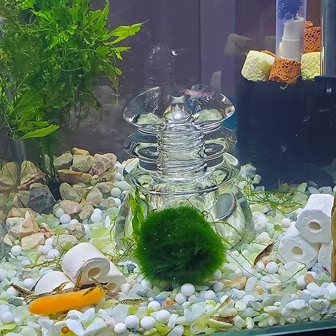 3lb Jade Bean Pebbles,1/4 Inch Cactus Bonsai DIY Rocks, Natural Succulent Rock and River Rocks Decorative for Aquariums, Vases, Terrarium, Outdoor Gardening, Top Dressing for Potted Plants