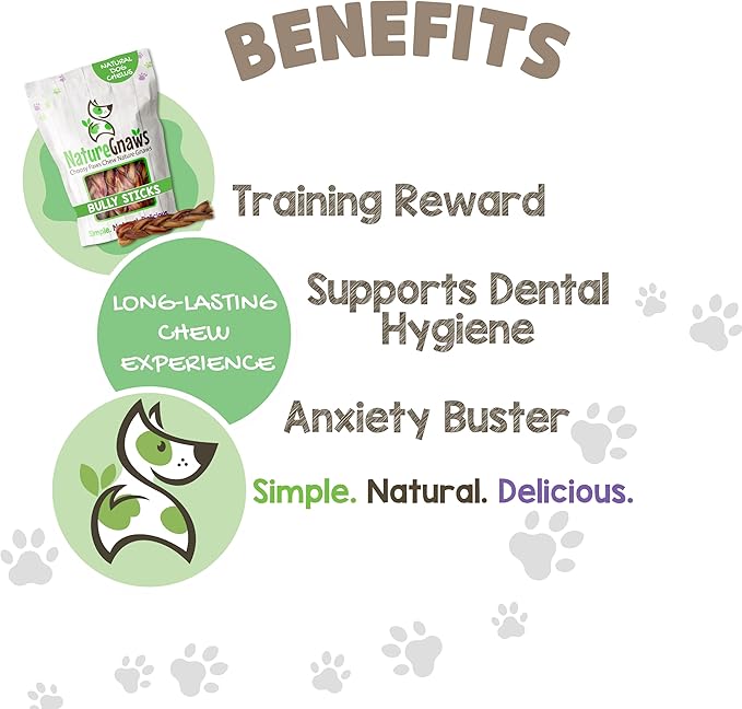 Nature Gnaws Braided Bully Sticks for Dogs 5-6" (10 Count) - Long Lasting for Small and Medium Dogs - Natural Beef Dog Chew Bones - Rawhide Free