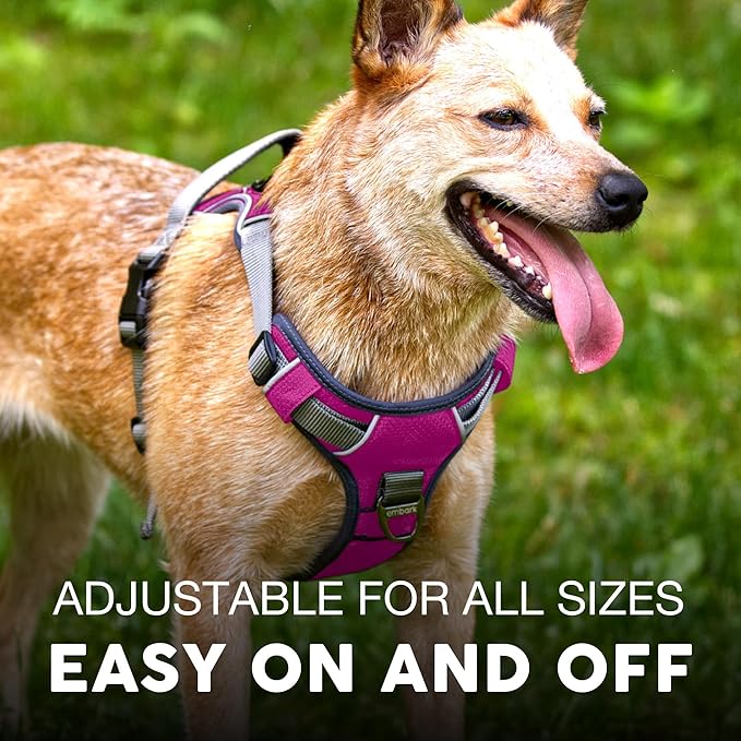 Embark Adventure Dog Harness, Reflective Trim XL Dog Harness for Extra Large Dogs No Pull - Military Grade Nylon, 2 Leash Clips & Gel Lined Handle.