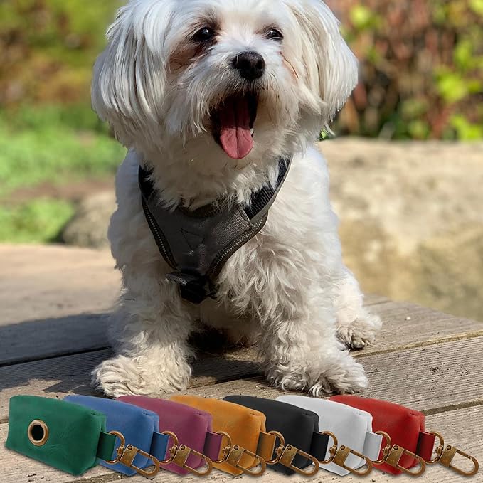 HIFA Genuine Leather Dog Leash Poop Bag Holder - Soft Touch Rustic Leather, Metal Clips, Easy Access to Pet Waste Bags - Outdoor Walking Dispenser