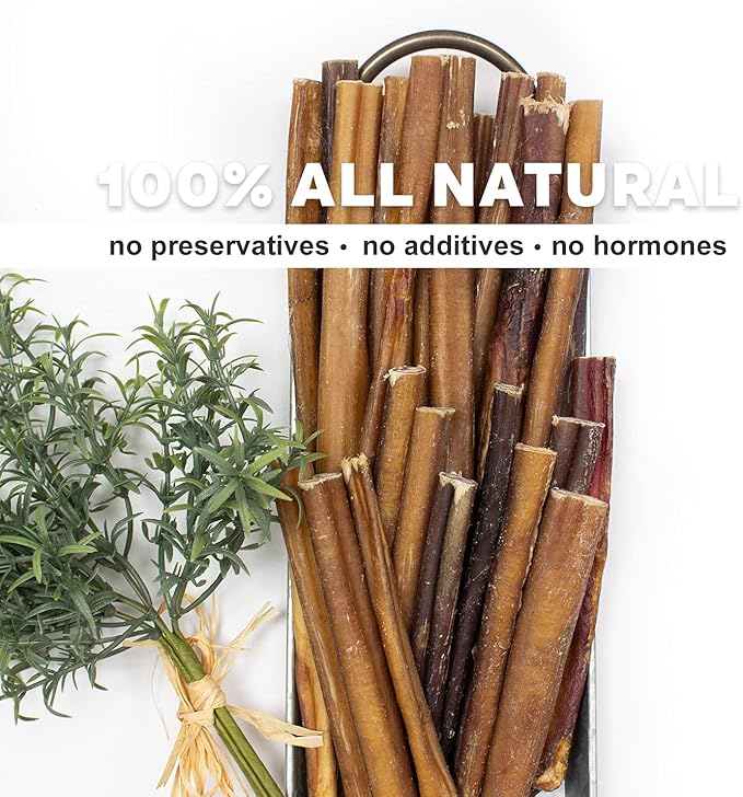 Downtown Pet Supply Bully Sticks for Dogs - Natural 6 Inch Beef Chews, Odor-Free & Rawhide-Free, Long Lasting Dog Treats for Aggressive Chewers - Healthy, Safe & Delicious Chews Dogs Love (100 Pack)