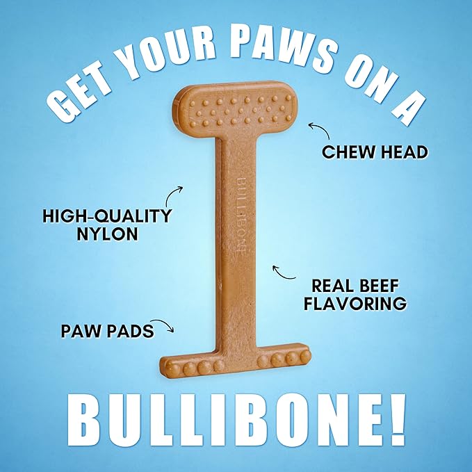 Bullibone Nylon Dog Chew Toy Nylon Bone - Improves Dental Hygiene, Easy to Grip Bottom, and Permeated with Flavor (Beef, Large - 3 Pack)