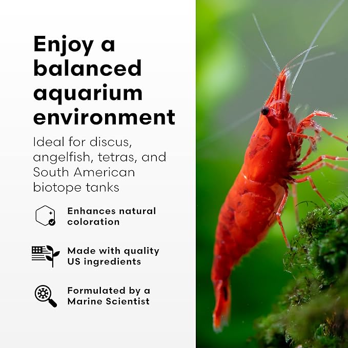 Brightwell Aquatics DiscusCōde Trace and Minor Element Supplement Supports Coloration Nerve Function Overall Health in Discus and Amazonian Freshwater Fish, 250 ml