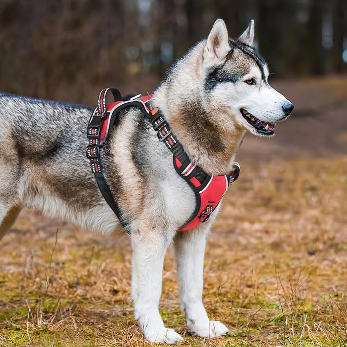 Timos Dog Harness Large Sized, No Pull with Neck Lockable Snap,No Choke Front Clip Dog Reflective Harness,Adjustable Metal Rings 3 Buckles,Easy Control Handle for Large Dogs Red L