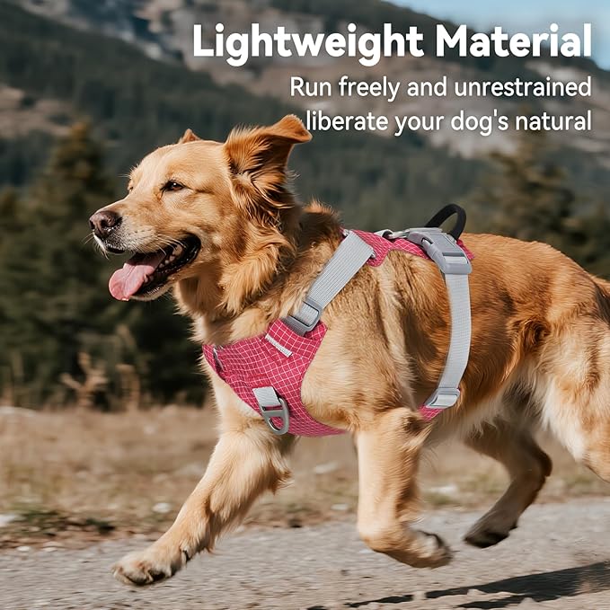 Joytale Lightweight Light Up Dog Harness, Rechargeable No-Pull LED Dog Harness with Detachable Light Box, Airtag Holder, Adjustable for Night Walking, Running & Everyday Use, Red, XL