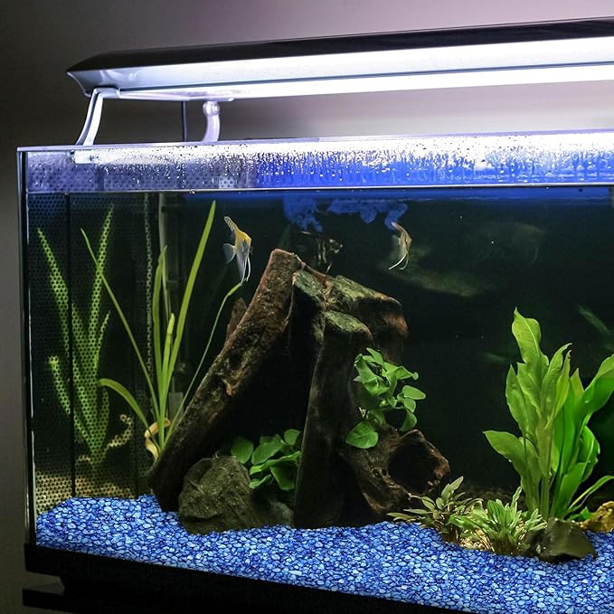 Hygloss Products Craft Rocks, Mini Stones for Art Projects - Bucket O' Gravel, Blue, 1 lb