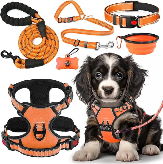 No Pull Dog Harness, Collar & Leash Set | Includes Dog Seat Belt, Collapsible Bowls & Poop Bag Dispenser. Ideal for Training, Walking, Hiking. Fits Small to Large Dogs(Orange-S)