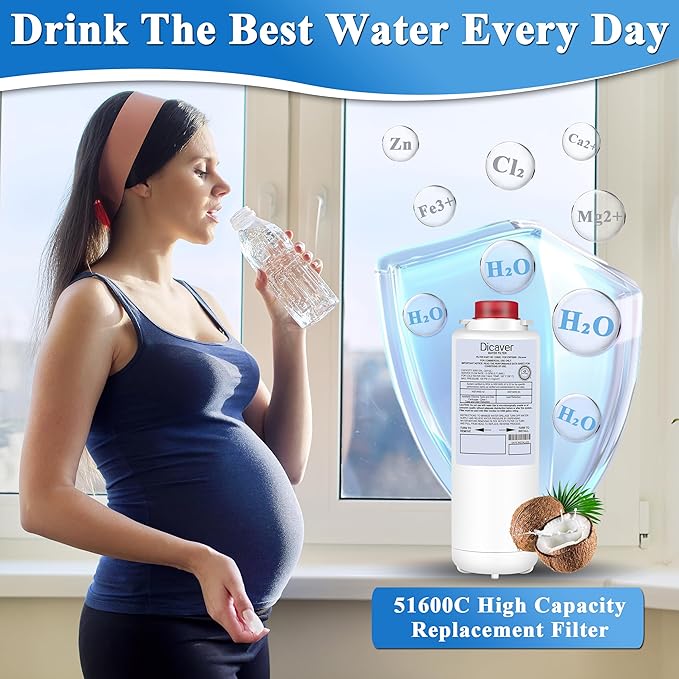 51600C Filters,Replacement for Elkay 51600C Filter By NSF/ANSI 42 Certified,Compatible with Ezh2o Filter Replacement Bottle Stations,High Capacity 51600C Filter 6000 Gallon (No Chip) Pack of 2