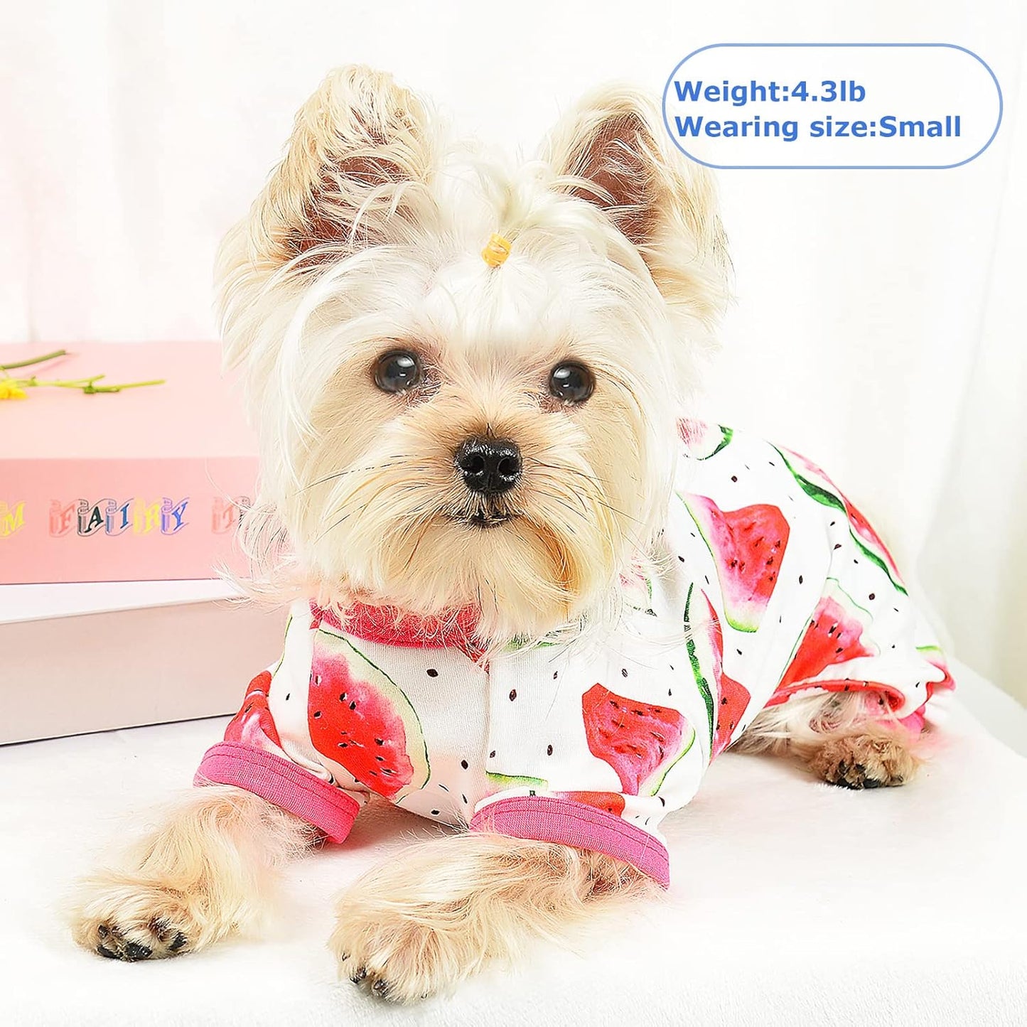 Dog Pajamas for Small Dogs - Dog Pjs - Cute Dog Pet Clothes Onesies Outfits for Doggie Girl Summer Shirts Sleeper for Pet Cats Jammies Puppy Teacup Clothes, Red