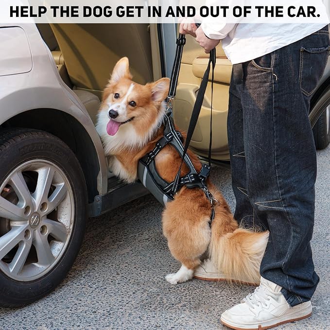 COODEO Mobility Dog Lift Harness, Emergency Carry Sling, Pet Rear Leg Support Rehabilitation Lifts Vest, Dog Carrier for Senior Dogs Joint Injuries, Arthritis (Military Green, XL)