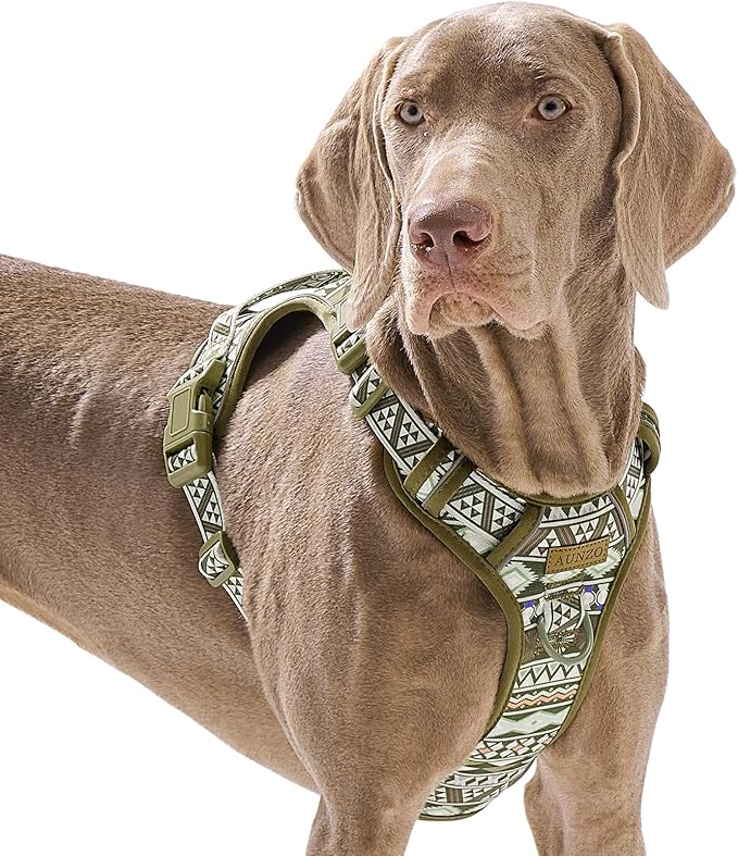 Dog Harness for Giant Dogs, Heavy Duty No Pull Pet Harness Vest Easy Control with Handle, Adjustable Reflective Extra Big Sized Dog Vest for Training, Walking, Hiking, Green Ethnic, XL