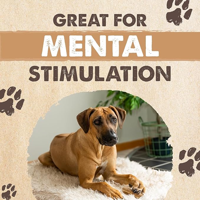 Mighty Paw Split Elk Antlers for Dogs (Sourced in The USA) | 1 Whole Monster 8"+ Long Lasting Bones for Aggressive Chewers - Naturally Shed Split Deer Antler for Dogs - Low Odor Chews (Pack of 1)