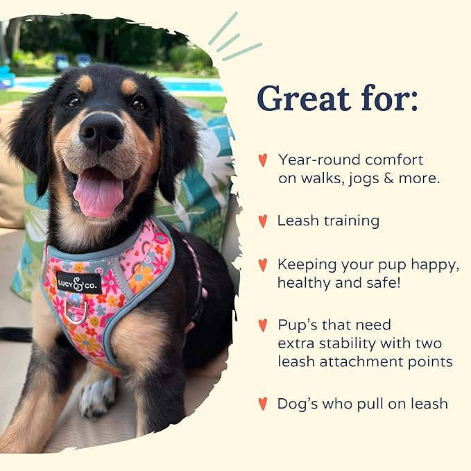 Lucy & Co. The Y2K Baby No-Pull Dog Harness - Size Small - Vest to Stop Pulling & Walk Easy - Comfortable Leash Training Product w/Adjustable Chest & Neck Straps
