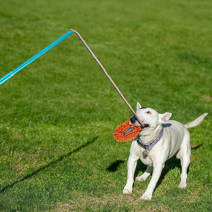 ALL FOR PAWS Dog Flirt Pole, Interactive Flirt Pole for Small Medium Dogs, Flirt Pole with 2 Chew Chase Lures Toys, Dog Toy for Tug of War Exercise & Training Tools