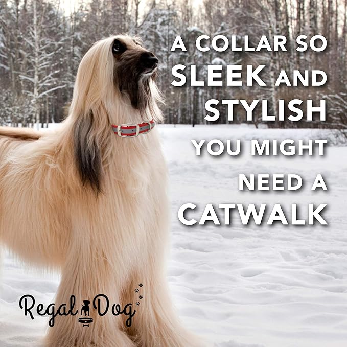 Regal Dog Products Medium Yellow Heavy Duty Reflective Dog Collar with Durable Metal Buckle and D Ring Adjustable, Chew Proof & Waterproof Center Ring | Strong Small Dog Collar