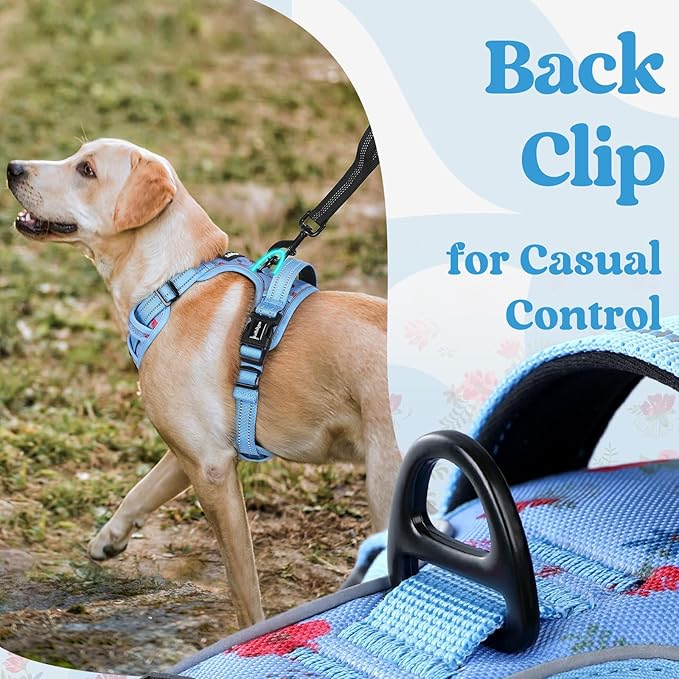 rabbitgoo Dog Harness for Large, No Pull Pet Harness with 3 Buckles, Adjustable Soft Padded Vest with Control Handle, Walking Reflective Pet Vest for Large Dogs, Floral Blue, L