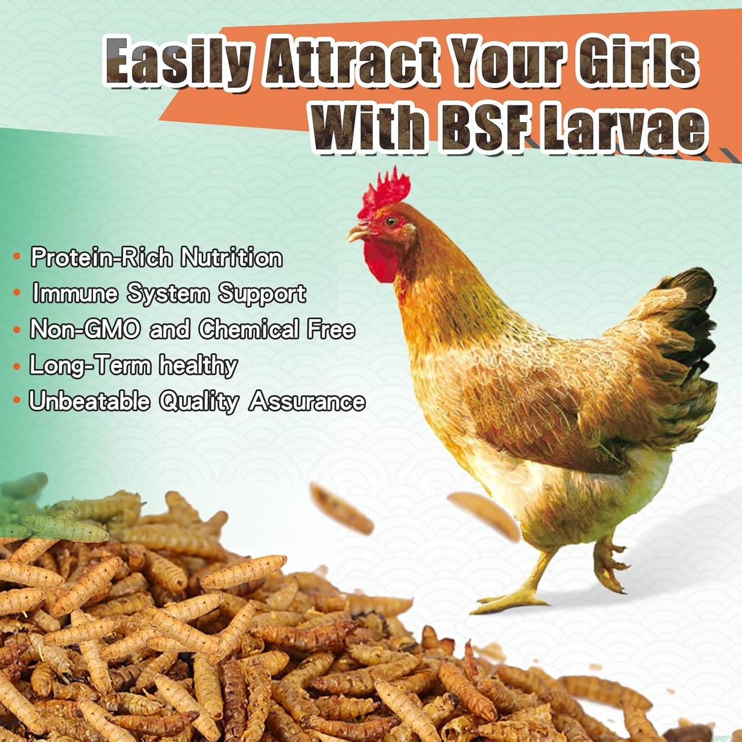 Dried Black Soldier Fly Larvae 44LBS, 85X More Calcium Than Mealworms High-Protein BSF Larvae Chicken Treats Non-GMO BSFL for Chickens, Hens, Ducks, Wild Birds
