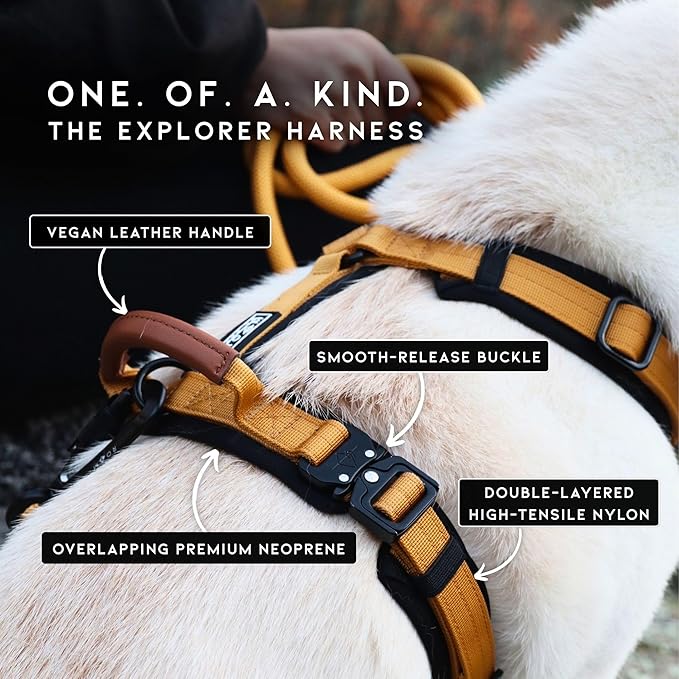 MADE TO ROAM Premium Explorer Harness - Y-Shaped Dog Harness with Adjustable Durable Nylon, Soft Padding, Metal Buckles and Leather Handle for Small, Medium, Large Dogs (Michigan Autumn, Size 7)